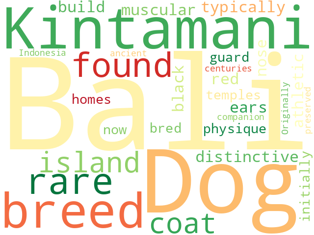 Word Cloud for kintamani_bali_dog