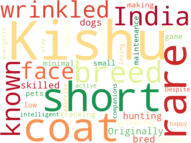 Word Cloud for kishu