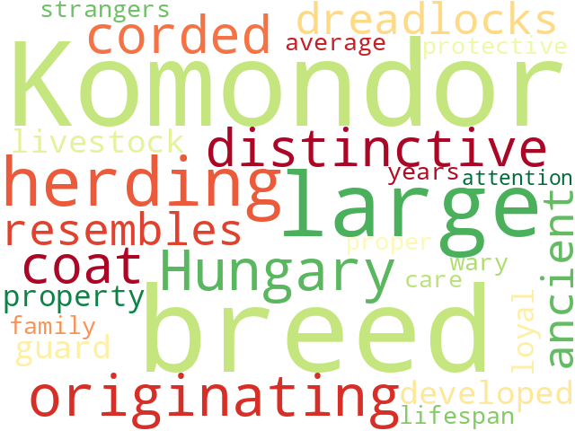 Word Cloud for komondor