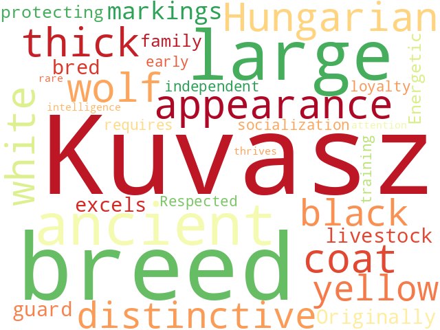 Word Cloud for kuvasz