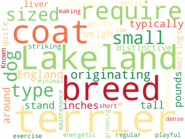 Word Cloud for lakeland_terrier