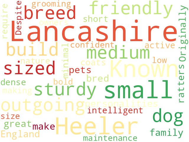 Word Cloud for lancashire_heeler