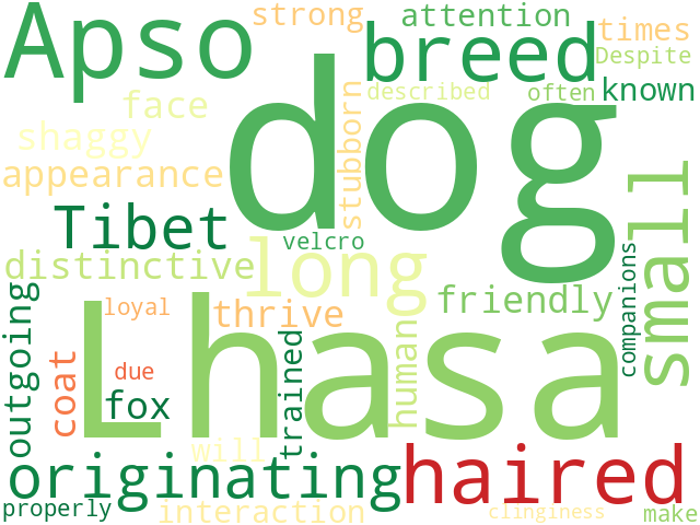 Word Cloud for lhasa_apso