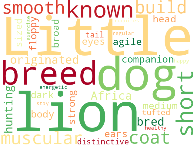 Word Cloud for little_lion_dog