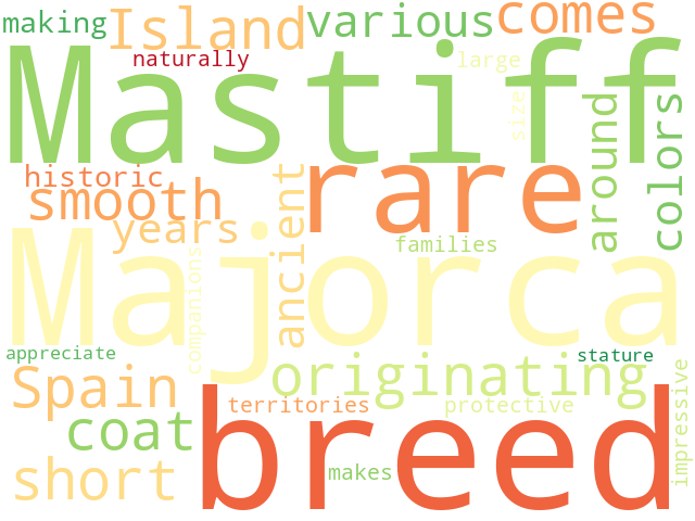 Word Cloud for majorca_mastiff