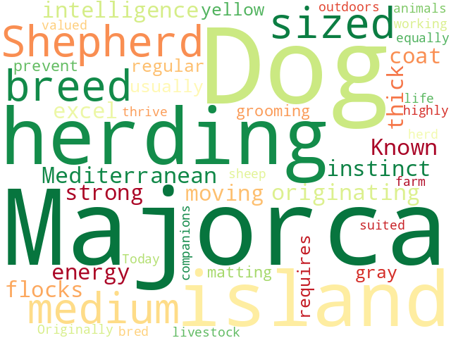 Word Cloud for majorca_shepherd_dog