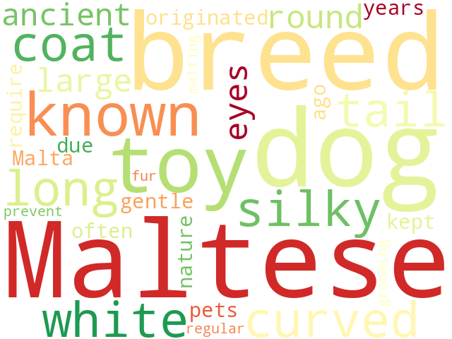 Word Cloud for maltese