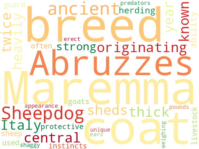 Word Cloud for maremma_and_the_abruzzes_sheepdog