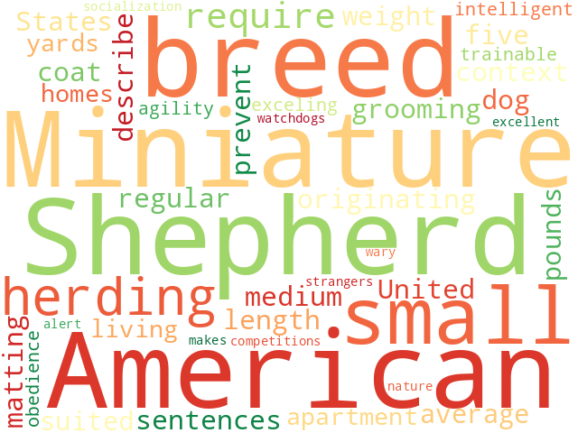 Word Cloud for miniature_american_shepherd