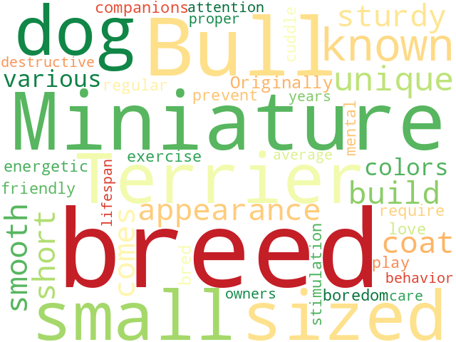 Word Cloud for miniature_bull_terrier