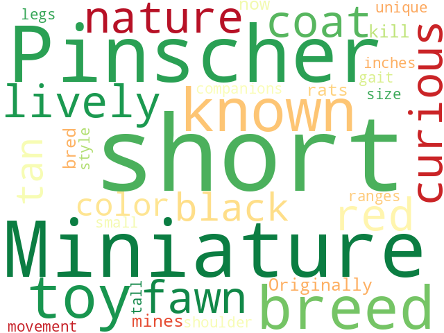 Word Cloud for miniature_pinscher