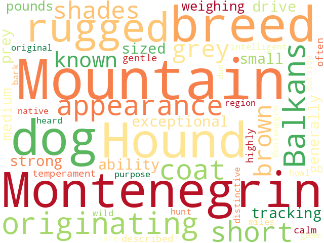 Word Cloud for montenegrin_mountain_hound