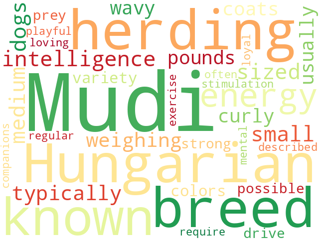 Word Cloud for mudi