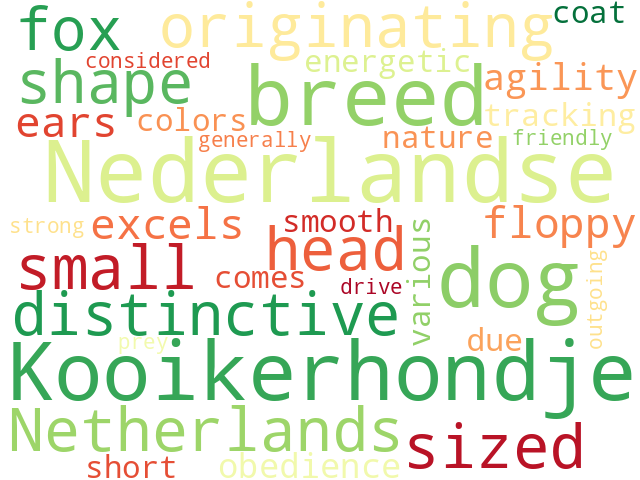 Word Cloud for nederlandse_kooikerhondje