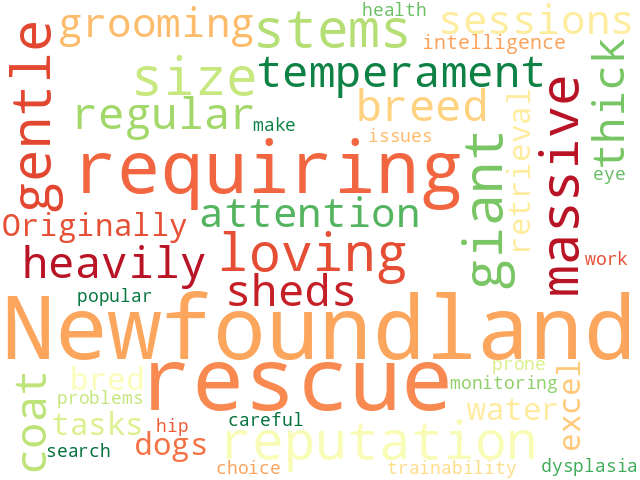 Word Cloud for newfoundland