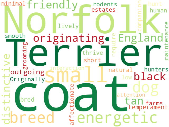Word Cloud for norfolk_terrier