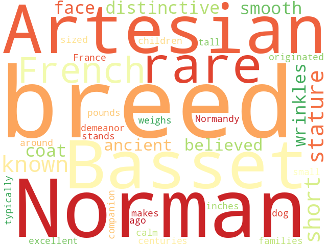 Word Cloud for norman_artesien_basset