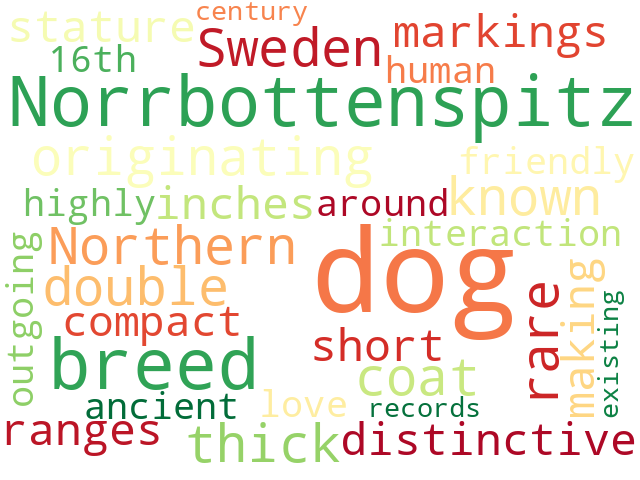 Word Cloud for norrbottenspitz