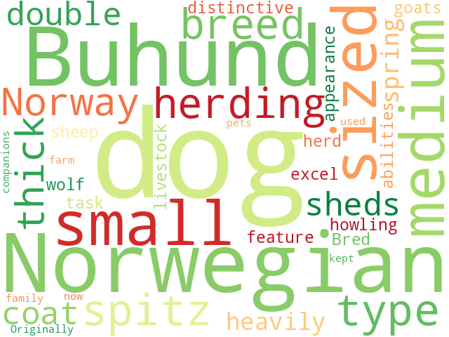 Word Cloud for norwegian_buhund