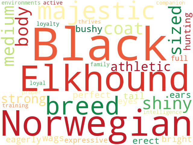 Word Cloud for norwegian_elkhound_black