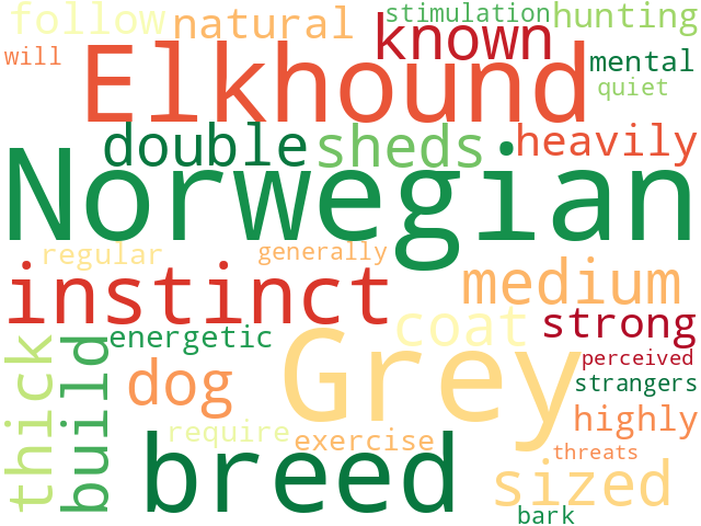 Word Cloud for norwegian_elkhound_grey