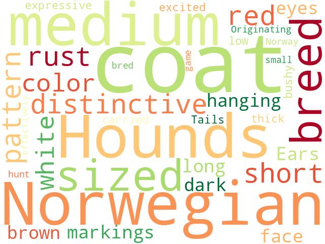 Word Cloud for norwegian_hound