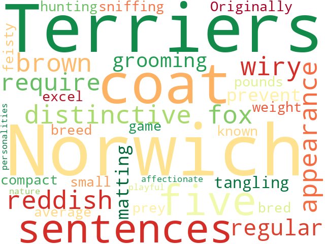 Word Cloud for norwich_terrier
