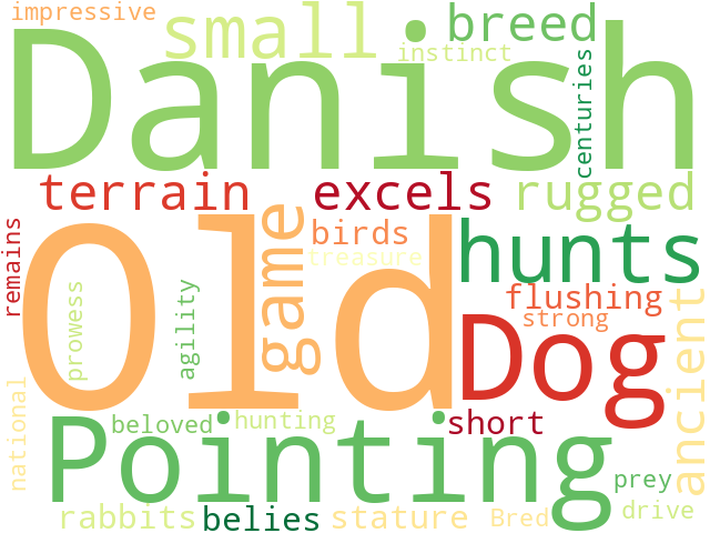 Word Cloud for old_danish_pointing_dog