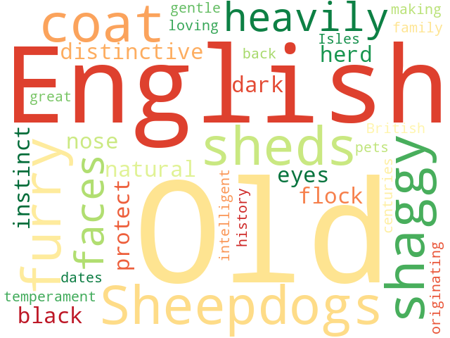 Word Cloud for old_english_sheepdog