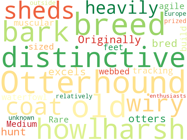 Word Cloud for otterhound