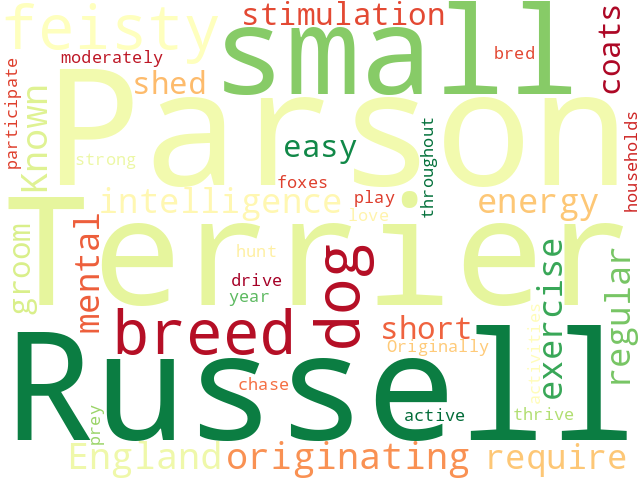 Word Cloud for parson_russell_terrier