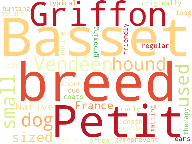 Word Cloud for petit_basset_griffon_vendeen