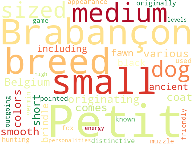 Word Cloud for petit_braban_on