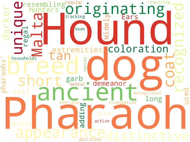 Word Cloud for pharaoh_hound