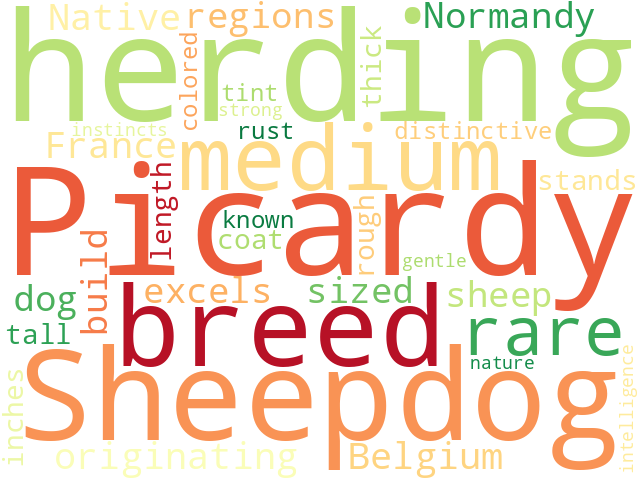 Word Cloud for picardy_sheepdog