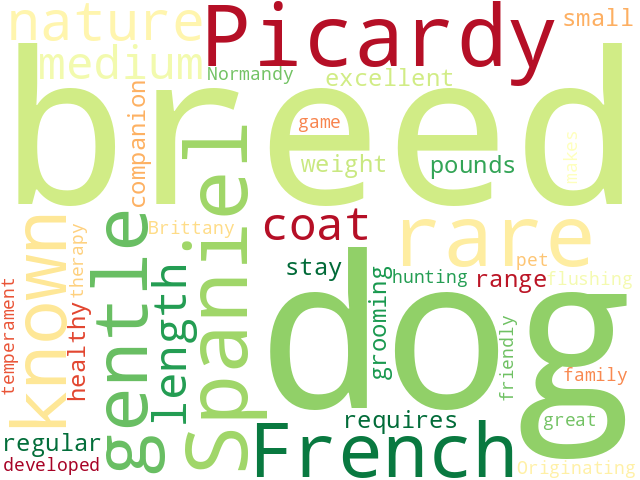 Word Cloud for picardy_spaniel