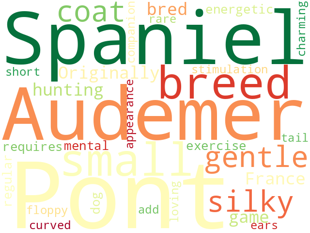 Word Cloud for pont_audemer_spaniel