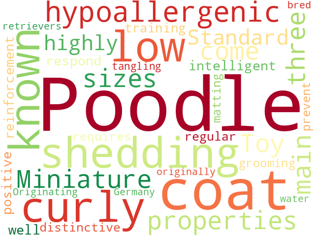 Word Cloud for poodle