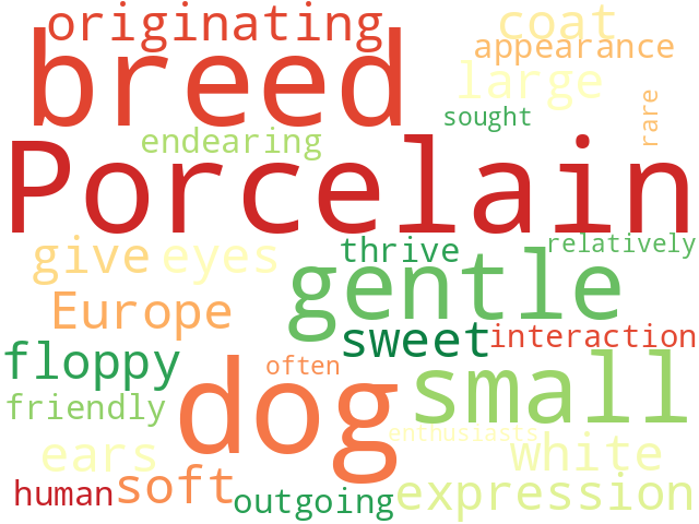 Word Cloud for porcelaine