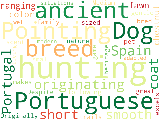 Word Cloud for portuguese_pointing_dog