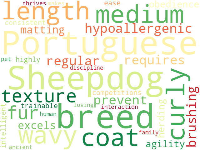 Word Cloud for portuguese_sheepdog