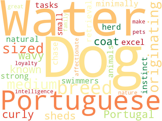Word Cloud for portuguese_water_dog