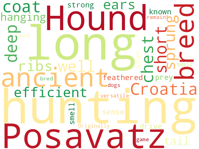 Word Cloud for posavatz_hound