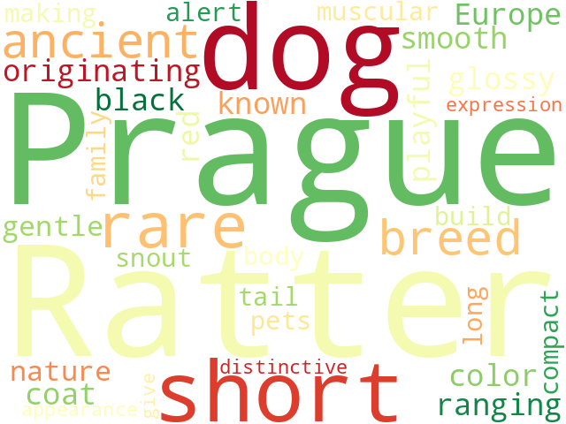 Word Cloud for prague_ratter