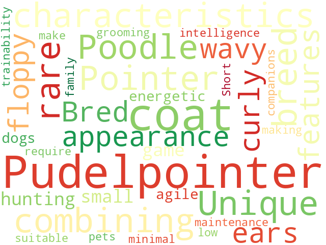 Word Cloud for pudelpointer