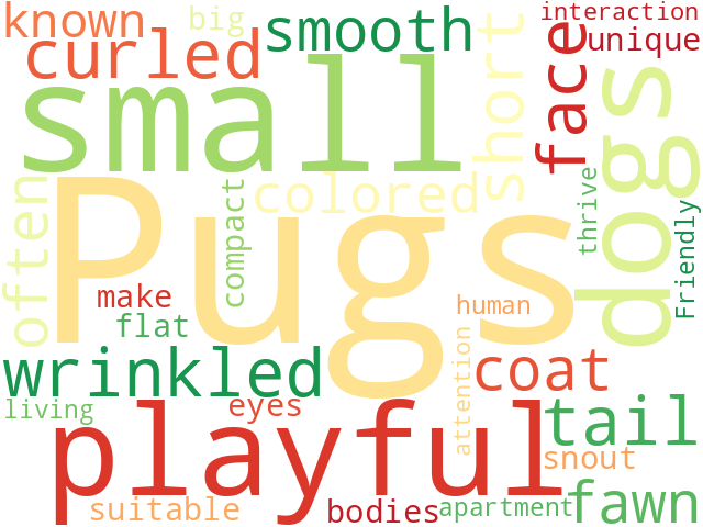 Word Cloud for pug