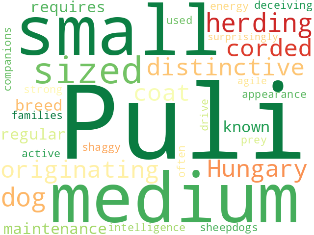 Word Cloud for puli