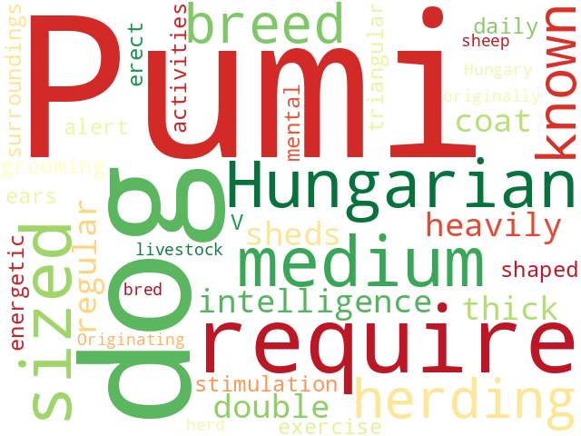 Word Cloud for pumi