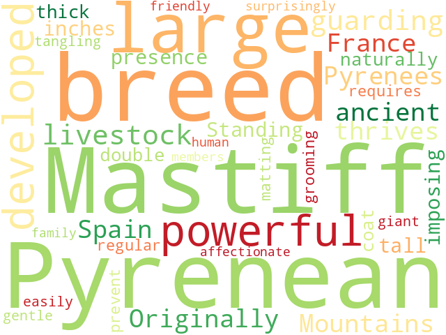 Word Cloud for pyrenean_mastiff