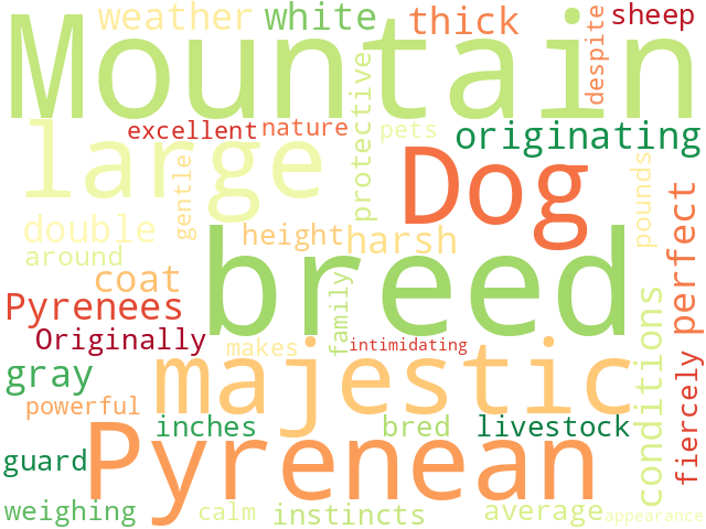 Word Cloud for pyrenean_mountain_dog